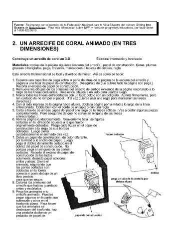 2. UN ARRECIFE DE CORAL ANIMADO (EN TRES DIMENSIONES)