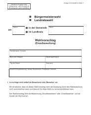 Wahlvorschlag (Einzelbewerbung)