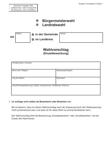 Wahlvorschlag (Einzelbewerbung)