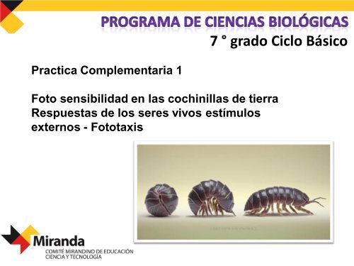 Práctica Complementaria: Foto sensibilidad en las cochinillas de tierra