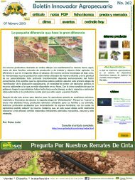 Fundación Guanajuato Produce - Consejo Técnico Consultivo ...