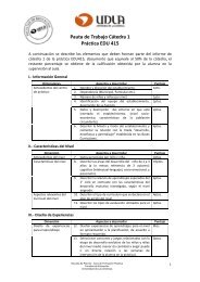 Pauta Informe Cátedra 1 - Universidad de Las Américas