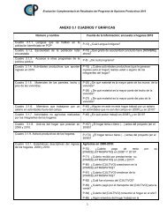 ANEXO 5.1 CUADROS Y GRÁFICAS