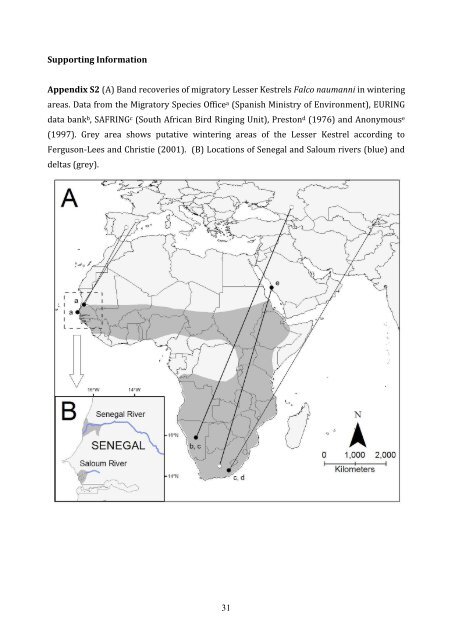 examples from the threatened lesser kestrel - Digital.CSIC, the ...