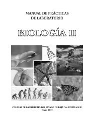 MANUAL DE BIOLOGÍA II B&N.cdr - Colegio de Bachilleres del ...