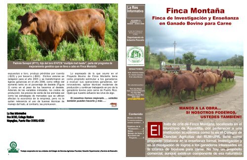 La Res Informativa vol. 12 núms. 1 - Bovinos para Carne - Uprm