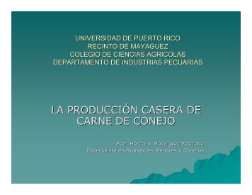 la producción casera de carne de conejo - Ciencias Agrícolas