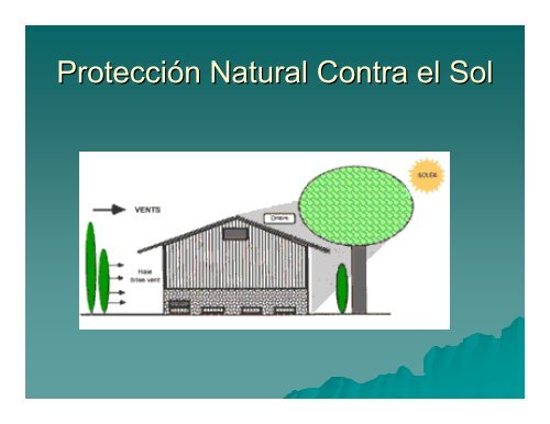 la producción casera de carne de conejo - Ciencias Agrícolas