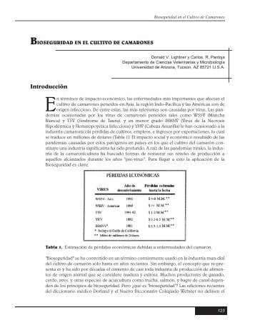 bioseguridad en el cultivo de camarones