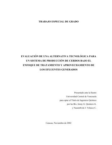 TESIS FUNDACIÓN POLAR.pdf - Saber UCV - Universidad Central ...
