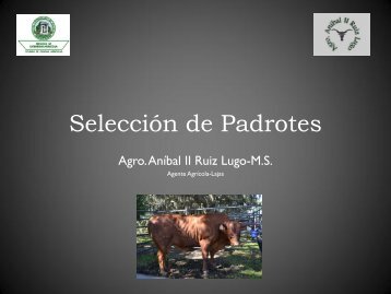 Selección de Padrotes