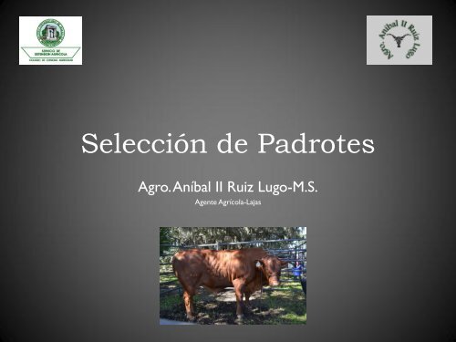 Selección de Padrotes