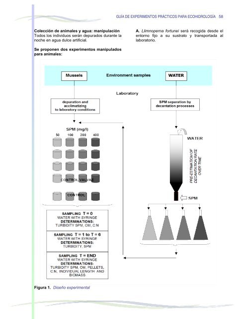 guía práctica de experimentos para - Ecologia e Gestão Ambiental