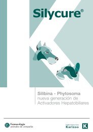Silibina-Phytosoma - Laboratorios Karizoo