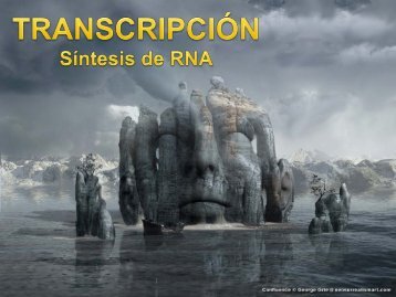 Transcripción Sintesis de RNA