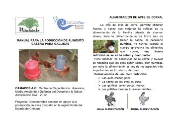 10.5Manual_ProyectoProductivoAlimentoAves - Cultura de Paz