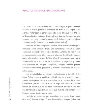 ASPECToS GENERALES DE LoS ENCINoS - Instituto Nacional de ...