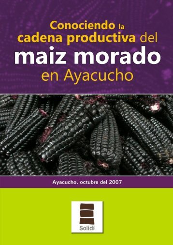 Conociendo la Cadena Productiva de Maíz Morado en ... - Solid Perú