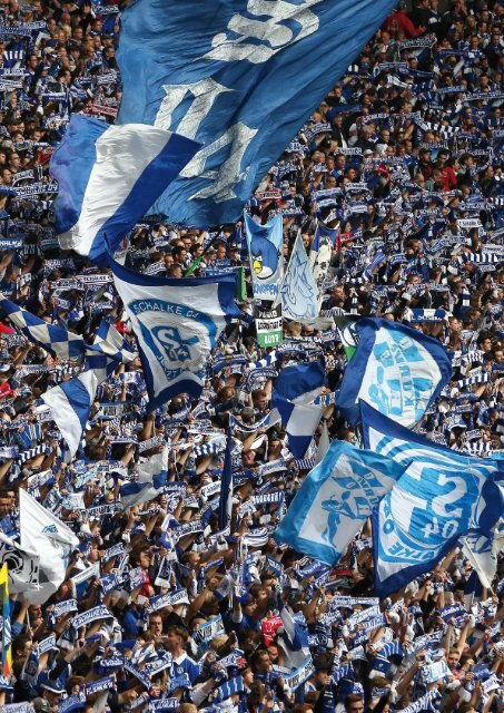 Konzerngeschäftsbericht 2012 - FC Schalke 04