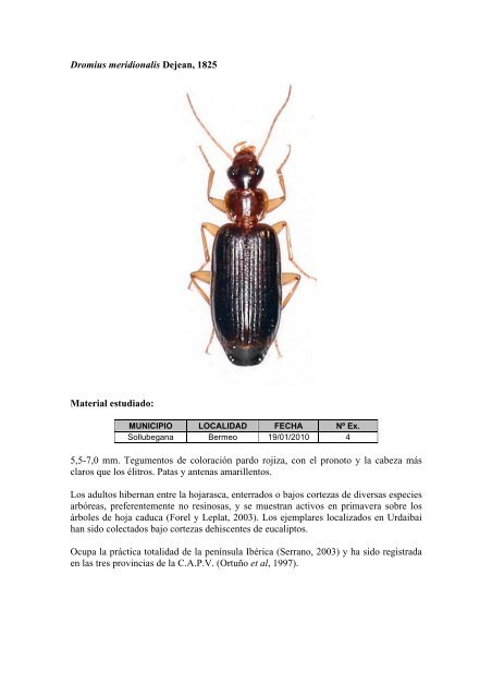 Estudio faunístico de los Carabidae (Insecta, Coleoptera) de la ...