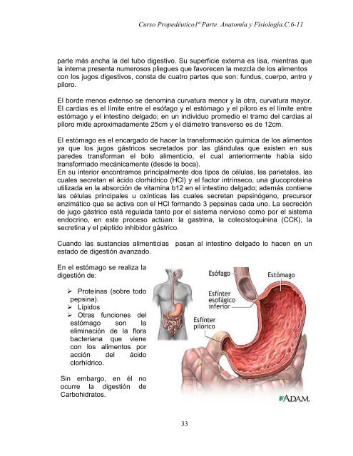 Curso propedéutico 1a parte-anatomía y fisiología-c. 6 a 11_2011.pdf