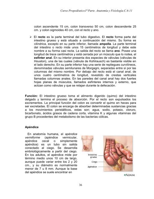 Curso propedéutico 1a parte-anatomía y fisiología-c. 6 a 11_2011.pdf