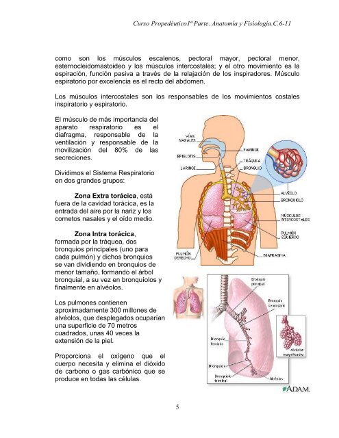 Curso propedéutico 1a parte-anatomía y fisiología-c. 6 a 11_2011.pdf