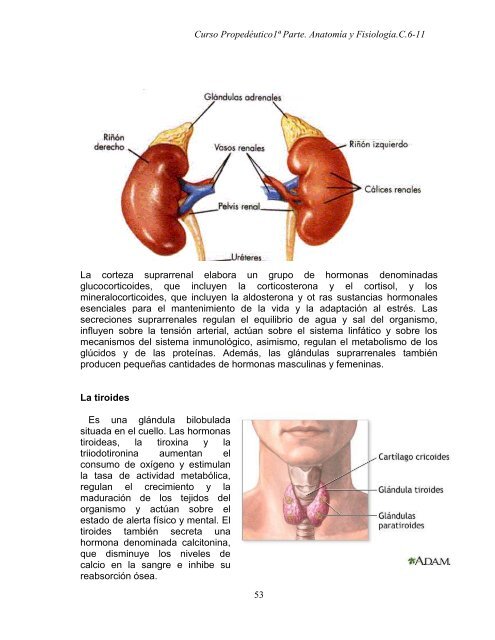 Curso propedéutico 1a parte-anatomía y fisiología-c. 6 a 11_2011.pdf