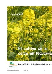 El cultivo de la colza en Navarra - Navarra Agraria