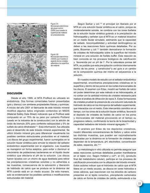 Revista de la Sociedad de Endodoncia de Chile Nº 23 Abril 2011