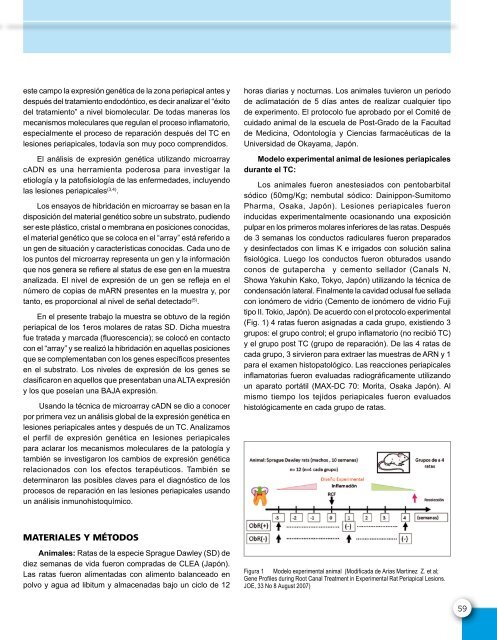 Revista de la Sociedad de Endodoncia de Chile Nº 23 Abril 2011