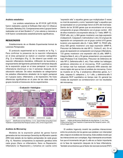 Revista de la Sociedad de Endodoncia de Chile Nº 23 Abril 2011