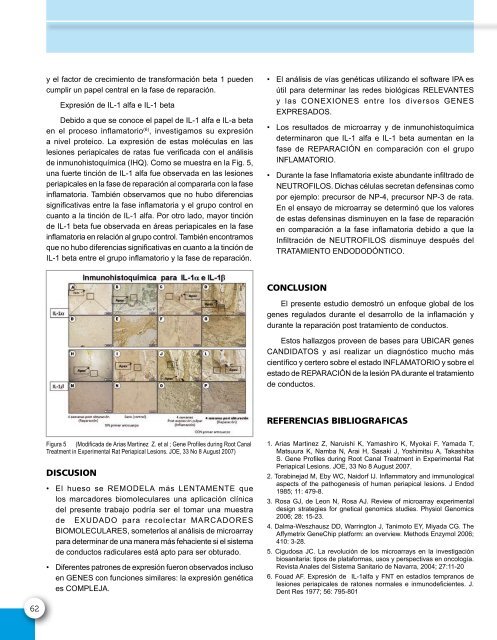 Revista de la Sociedad de Endodoncia de Chile Nº 23 Abril 2011