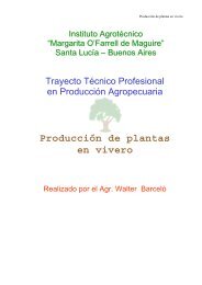 Módulo Producción de Plantas en Vivero - FEDIAP