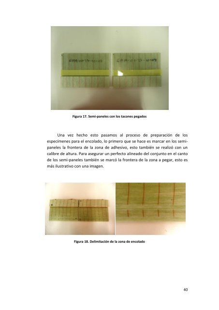 3.Procesado del material y preparaciÃ³n de las muestras.pdf