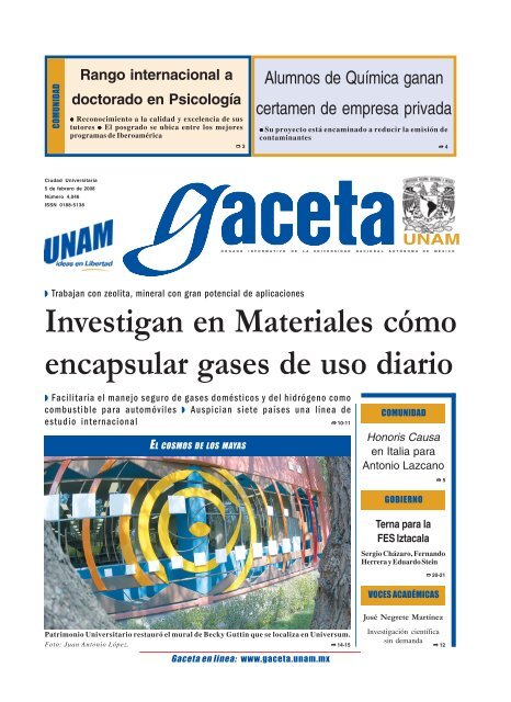 Versión PDF - UNAM
