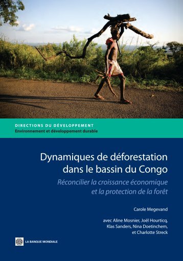 Dynamiques de déforestation dans le bassin du Congo
