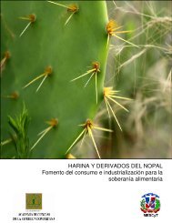 HARINA Y DERIVADOS DEL NOPAL Fomento del consumo e ...