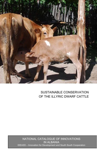 Sustainable Conservation Of The Illyric Dwarf Cattle Agency For