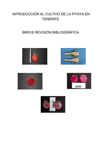 Breve introducción pitaya - AgroCabildo