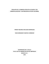 CREACIÓN DE LA EMPRESA IDEAS EN ALGODÓN LTDA ...