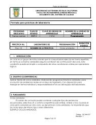 Práctica 10 ciclos anidados - Universidad Autónoma de Baja ...