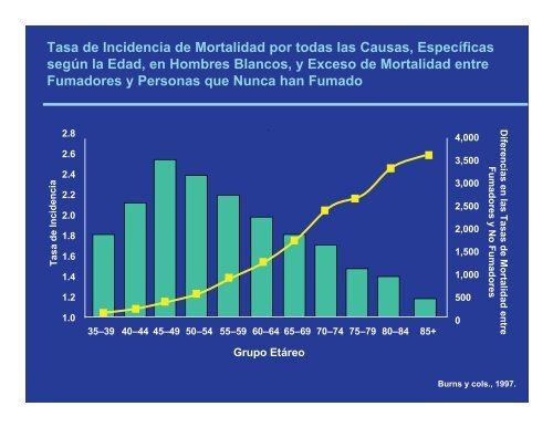 El Consumo de Cigarrillos y su Efecto en la Salud - Conevyt