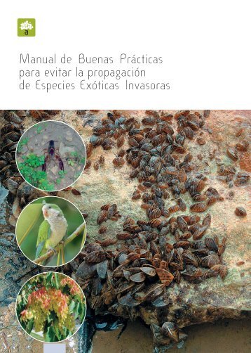 Manual de Buenas Prácticas para evitar la propagación de ...