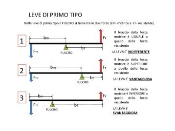 riassunto le leve.pdf - Istituto Paritario "Enrico Medi"