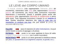 LE LEVE del CORPO UMANO.pdf - Istituto Paritario 