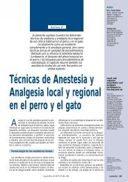 Técnicas de Anestesia y Analgesia local y regional en el perro y el gato