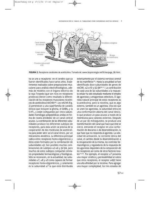 TABAQUISMO - Neumomadrid