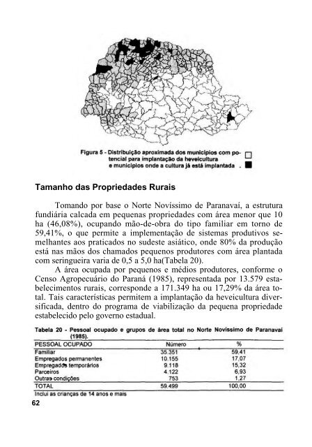 cadeia produtiva da borracha natural - Iapar