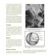 El territorio nacional, asociado al cinturón Circumpacífico, se ...